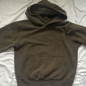 Aritzia Olive Hoodie Sweater